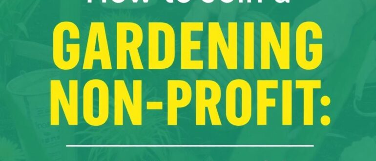 Как вступить в сообщества по интересам: пошаговая инструкция