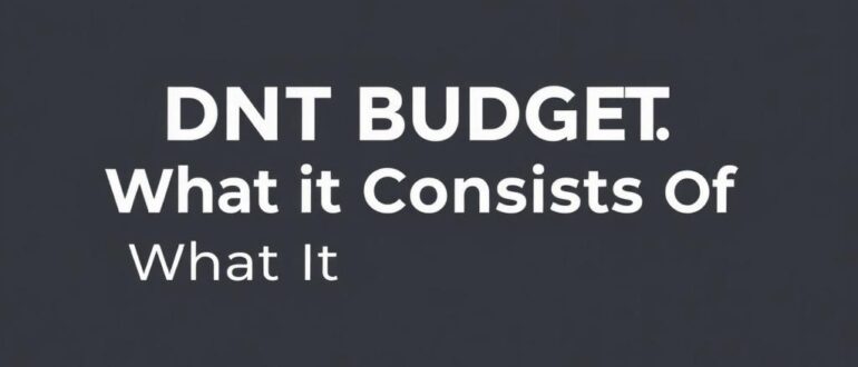 Бюджет ДНТ: из чего складывается и как понять его структуру