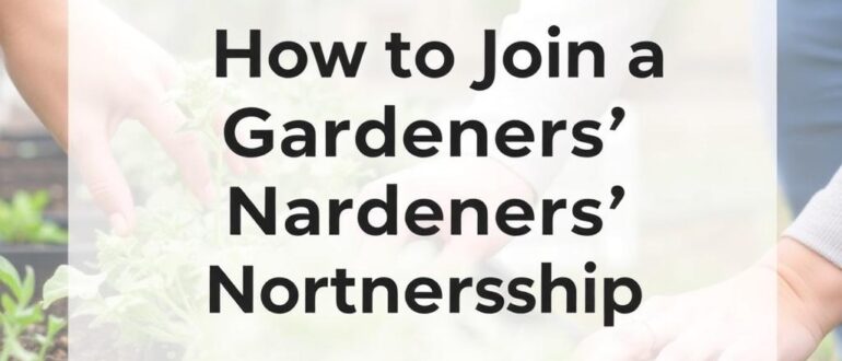 Как вступить в ДНТ: пошаговая инструкция